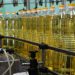 Қазақстанның өсімдік майы экспорты рекордтық деңгейге жетті