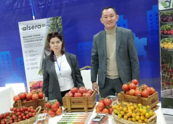 Сделано в мегаполисе: В Шымкенте открылась масштабная выставка местной продукции