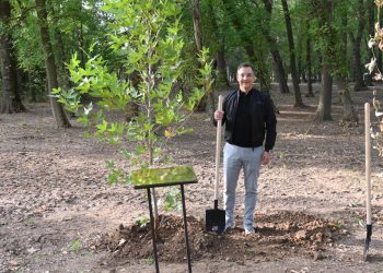 Венгерская делегация во главе с мэром дебрецена посадила деревья в дендропарке Шымкента