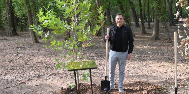 Венгерская делегация во главе с мэром дебрецена посадила деревья в дендропарке Шымкента