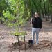 Венгерская делегация во главе с мэром дебрецена посадила деревья в дендропарке Шымкента