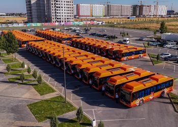 Шымкентте жыл соңына дейін 192 автобус жаңартылады